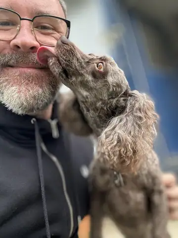 Raymond (bearded) with a gray doodle nuzzling his face outdoors, Long Beach dog walker